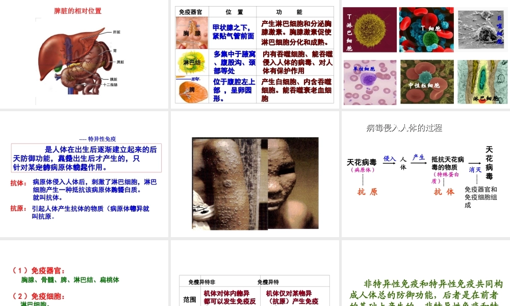 八年级生物 第二节 免疫与计划免疫课件 人教新课标版 