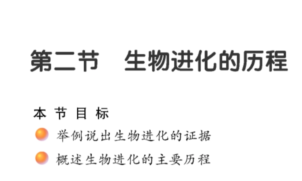 八年级生物上册 16.2 生物进化的历程课件 （新版）苏教版-（新版）苏教级上册生物课件