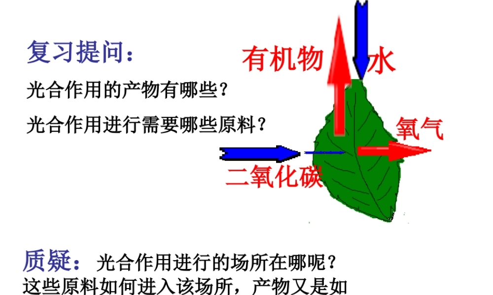 八年级生物 第四章第三节光合作用的场所课件 冀教版