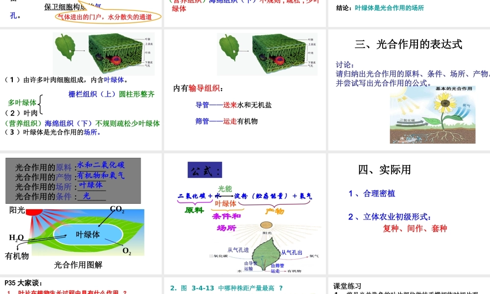 八年级生物 第四章第三节光合作用的场所课件 冀教版