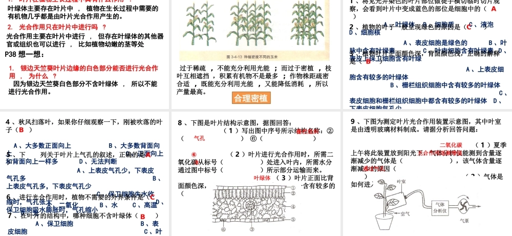 八年级生物 第四章第三节光合作用的场所课件 冀教版