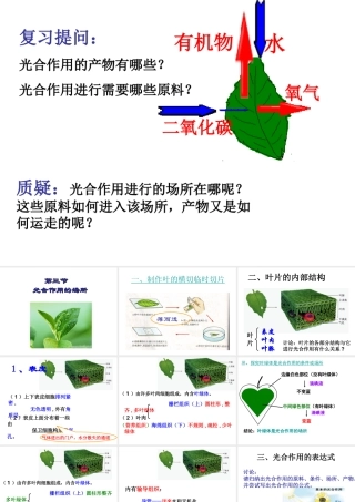 八年级生物 第四章第三节光合作用的场所课件 冀教版