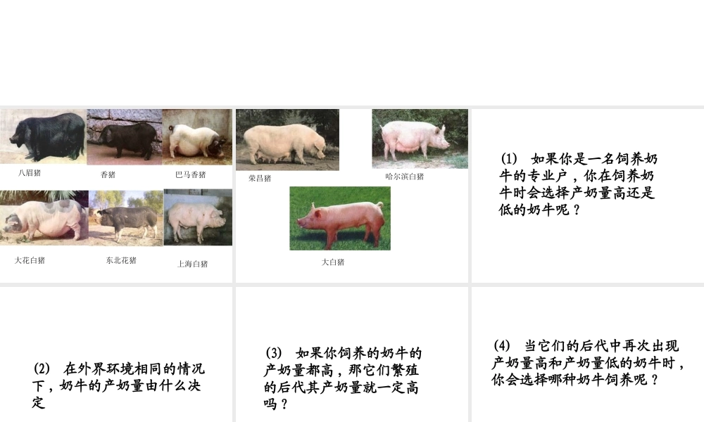 八年级生物 第五节 生物的变异课件 人教新课标版
