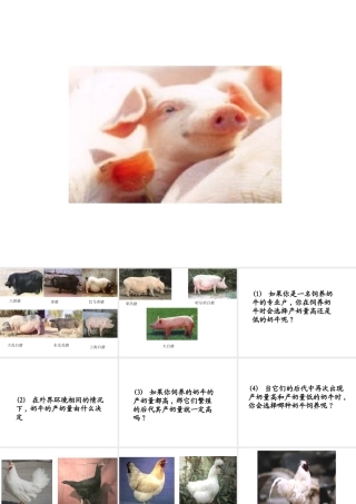 八年级生物 第五节 生物的变异课件 人教新课标版