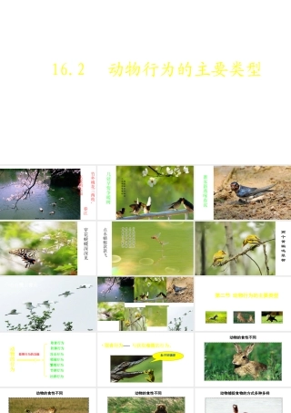 八年级生物上册 16.2《动物行为的主要类型》课件1 （新版）北师大版-（新版）北师大级上册生物课件