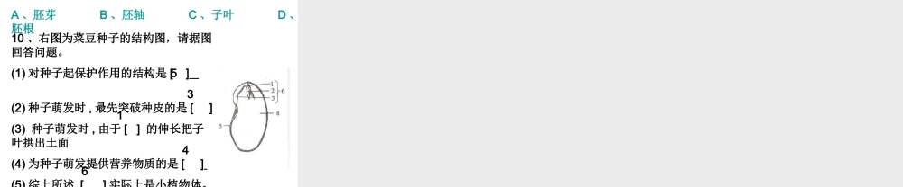 八年级生物 第一章第一节种子的萌发过程课件 冀教版