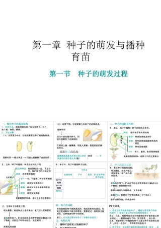八年级生物 第一章第一节种子的萌发过程课件 冀教版