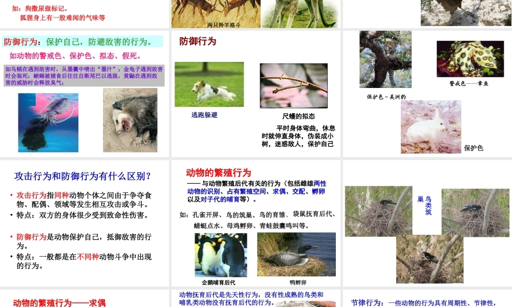 八年级生物上册 16.2《动物行为的主要类型》课件2 （新版）北师大版-（新版）北师大版初中八年级上册生物课件