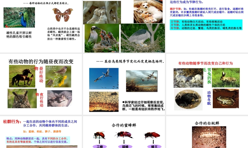 八年级生物上册 16.2《动物行为的主要类型》课件2 （新版）北师大版-（新版）北师大版初中八年级上册生物课件