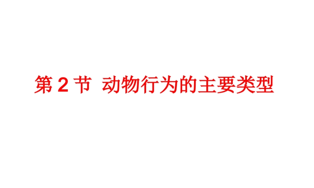 八年级生物上册 16.2《动物行为的主要类型》课件2 （新版）北师大版-（新版）北师大级上册生物课件