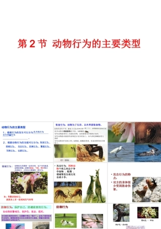 八年级生物上册 16.2《动物行为的主要类型》课件2 （新版）北师大版-（新版）北师大级上册生物课件