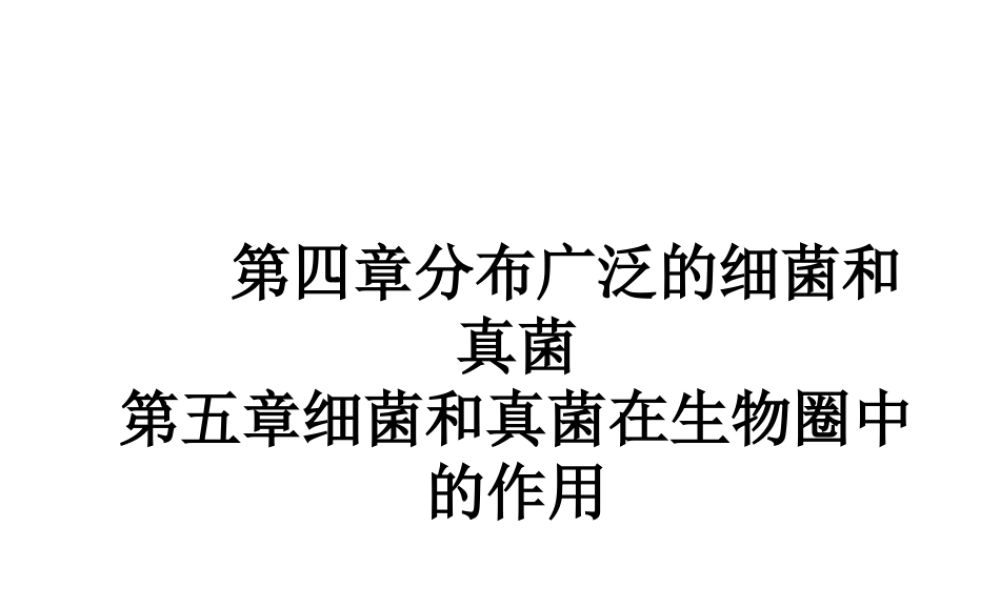 八年级生物 分布广泛的细菌和真菌复习课件 人教新课标版