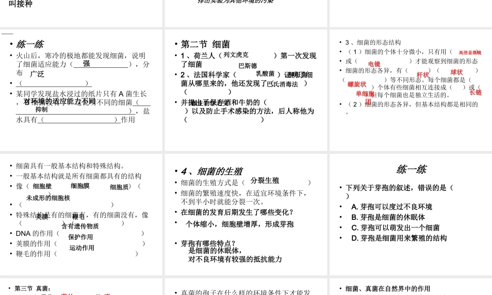 八年级生物 分布广泛的细菌和真菌复习课件 人教新课标版