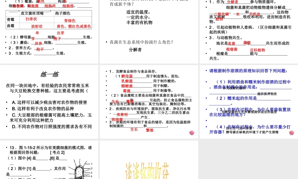 八年级生物 分布广泛的细菌和真菌复习课件 人教新课标版