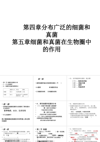八年级生物 分布广泛的细菌和真菌复习课件 人教新课标版