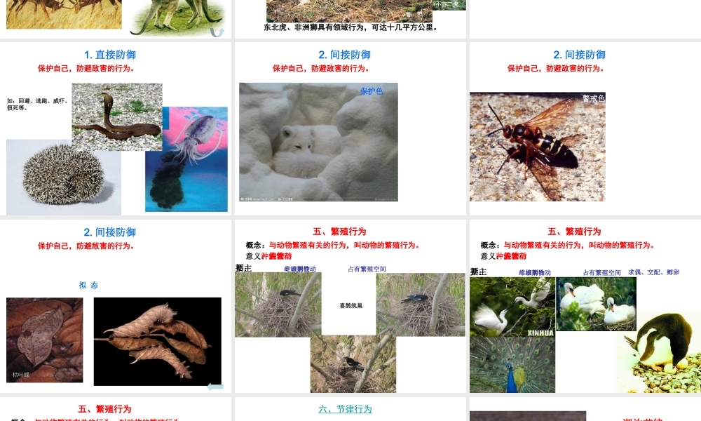 八年级生物上册 16.2《动物行为的主要类型》课件3 （新版）北师大版-（新版）北师大版初中八年级上册生物课件