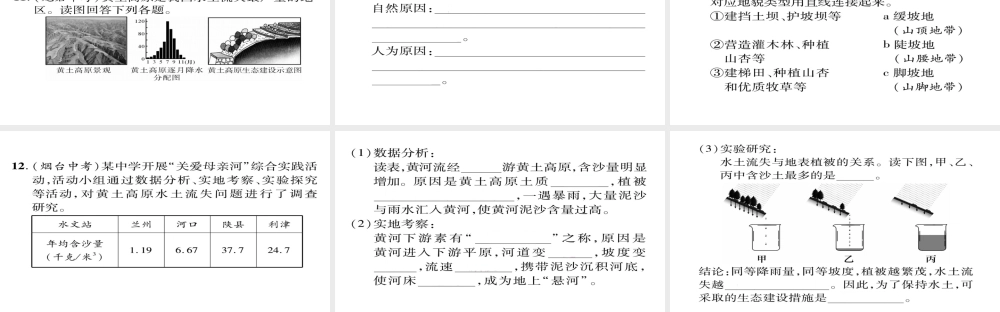 八年级地理下册 第六章 第3节 世界最大的黄土堆积区——黄土高原（第2课时 严重的水土流失 水土保护）习题课件 （新版）新人教版-（新版）新人教版初中八年级下册地理课件