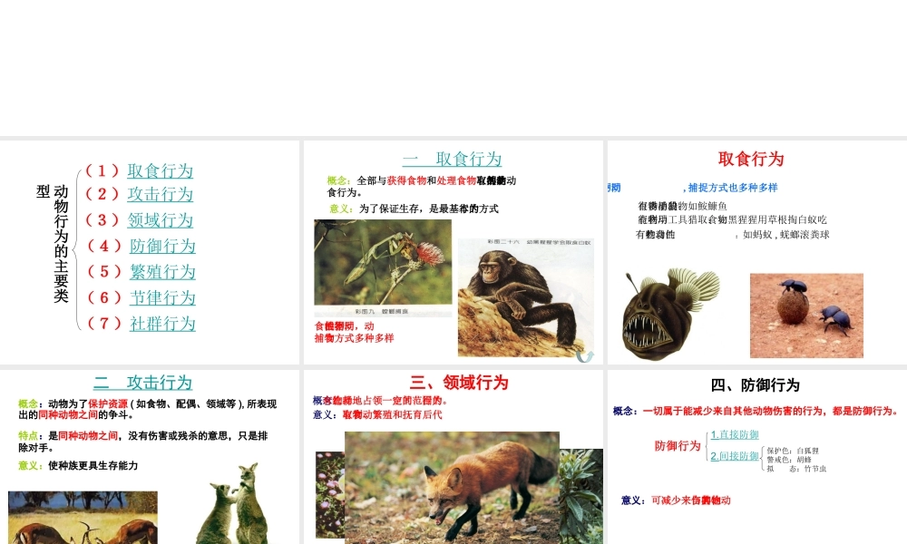 八年级生物上册 16.2《动物行为的主要类型》课件3 （新版）北师大版-（新版）北师大级上册生物课件