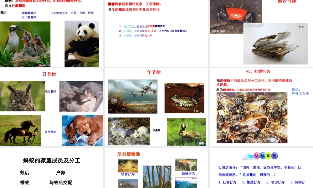八年级生物上册 16.2《动物行为的主要类型》课件3 （新版）北师大版-（新版）北师大级上册生物课件