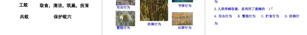 八年级生物上册 16.2《动物行为的主要类型》课件3 （新版）北师大版-（新版）北师大级上册生物课件