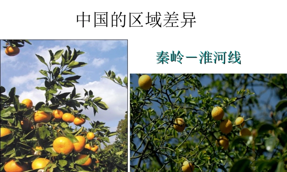 八年级地理下册 第五章 第一节《四大地理区域的划分》课件 （新版）湘教版