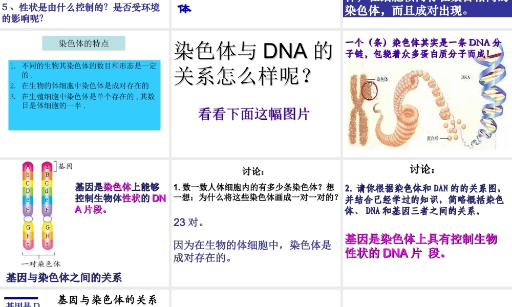 八年级生物 基因在亲子代间的传递课件 人教新课标版