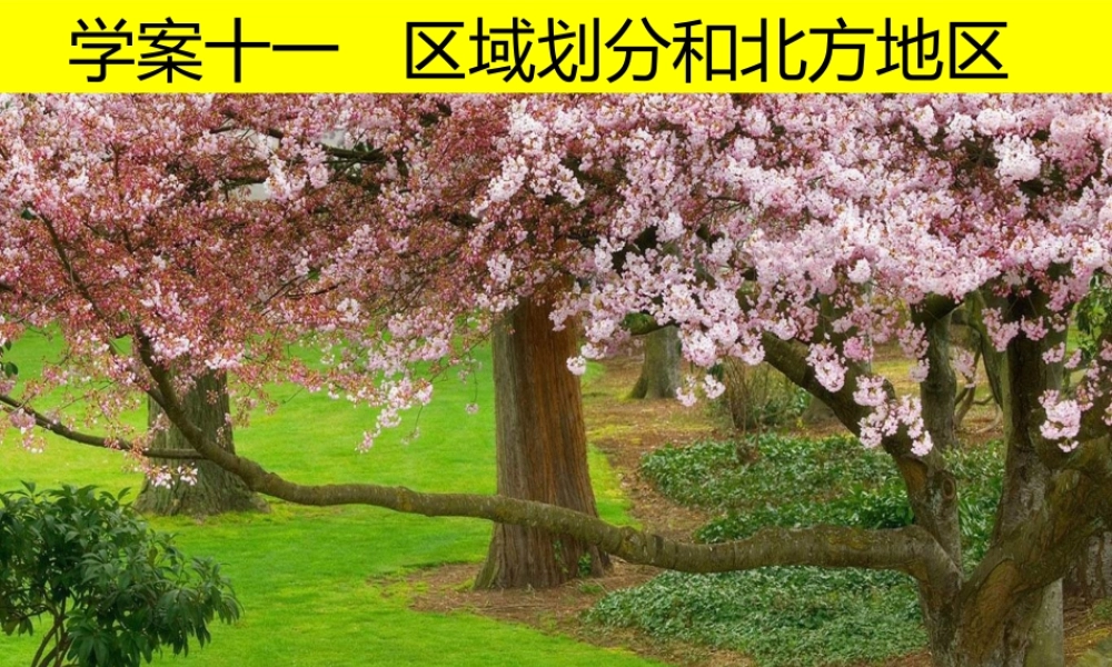 八年级地理下册 区域划分和北方地区复习课件 商务星球版-商务星球版初中八年级下册地理课件