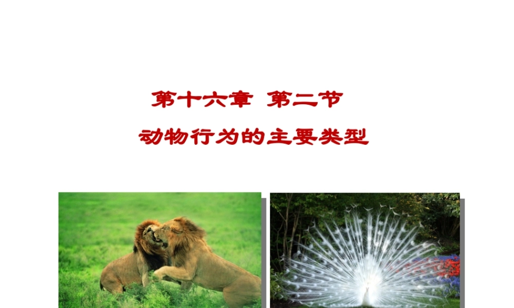八年级生物上册 16.2《动物行为的主要类型》课件4 （新版）北师大版-（新版）北师大版初中八年级上册生物课件