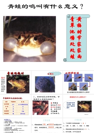 八年级生物 两栖动物的生殖和发育课件 济南版