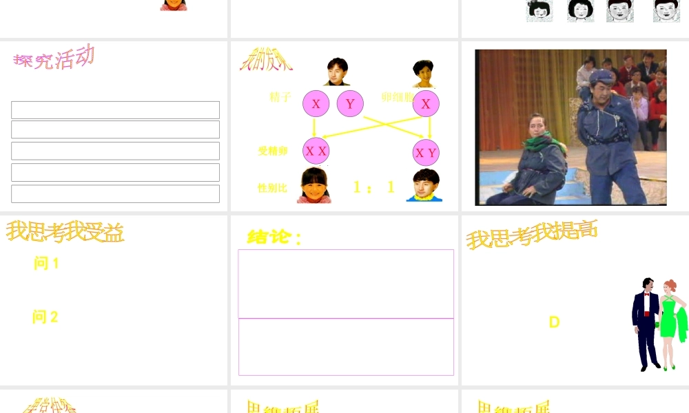 八年级生物 人类染色体与性别决定课件 济南版