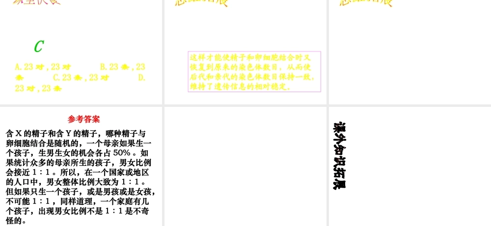 八年级生物 人类染色体与性别决定课件 济南版