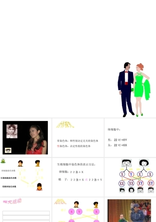 八年级生物 人类染色体与性别决定课件 济南版