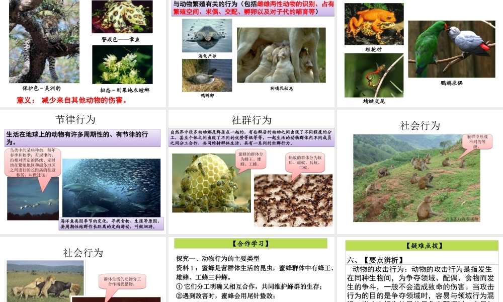 八年级生物上册 16.2《动物行为的主要类型》课件4 （新版）北师大版-（新版）北师大级上册生物课件