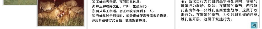八年级生物上册 16.2《动物行为的主要类型》课件4 （新版）北师大版-（新版）北师大级上册生物课件