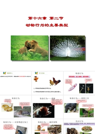 八年级生物上册 16.2《动物行为的主要类型》课件4 （新版）北师大版-（新版）北师大级上册生物课件