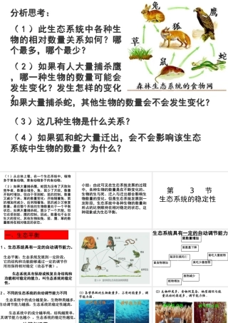 八年级生物 生态系统的稳定性课件 北师大版