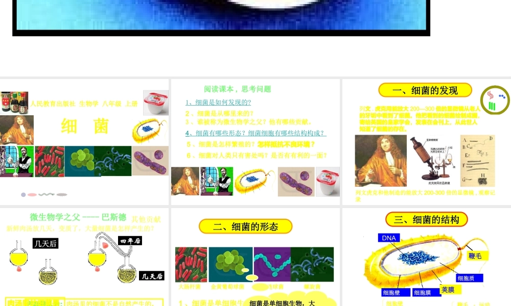 八年级生物 细菌课件 人教新课标版