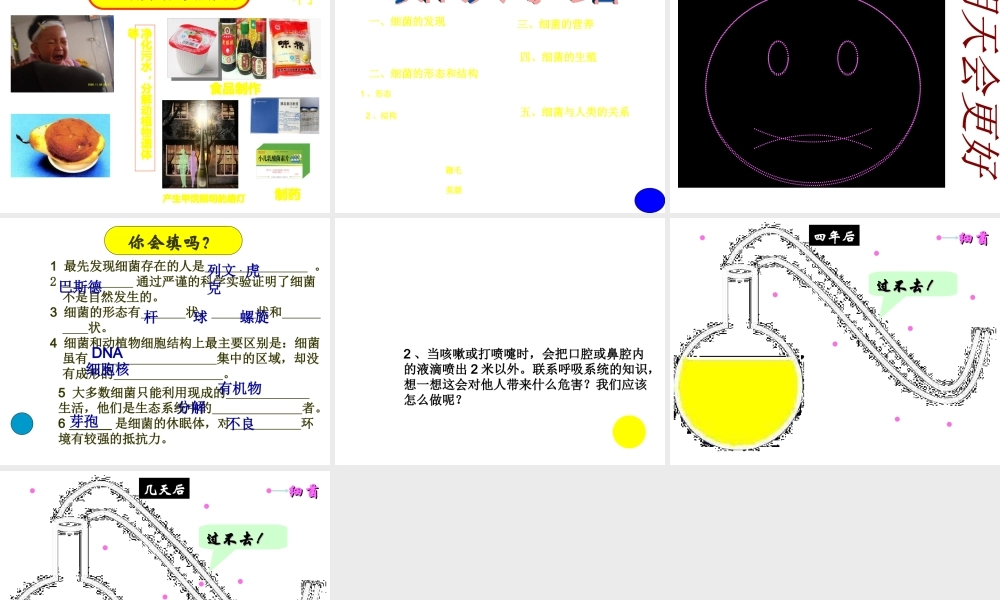 八年级生物 细菌课件 人教新课标版