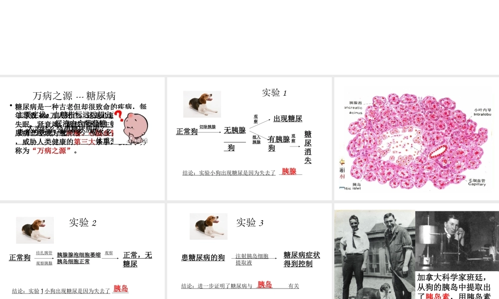 八年级生物上册 16.3 人体的激素调节教学课件 （新版）苏科版-（新版）苏科级上册生物课件