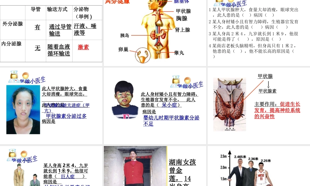 八年级生物上册 16.3 人体的激素调节教学课件 （新版）苏科版-（新版）苏科级上册生物课件