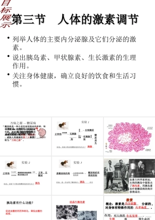 八年级生物上册 16.3 人体的激素调节教学课件 （新版）苏科版-（新版）苏科级上册生物课件