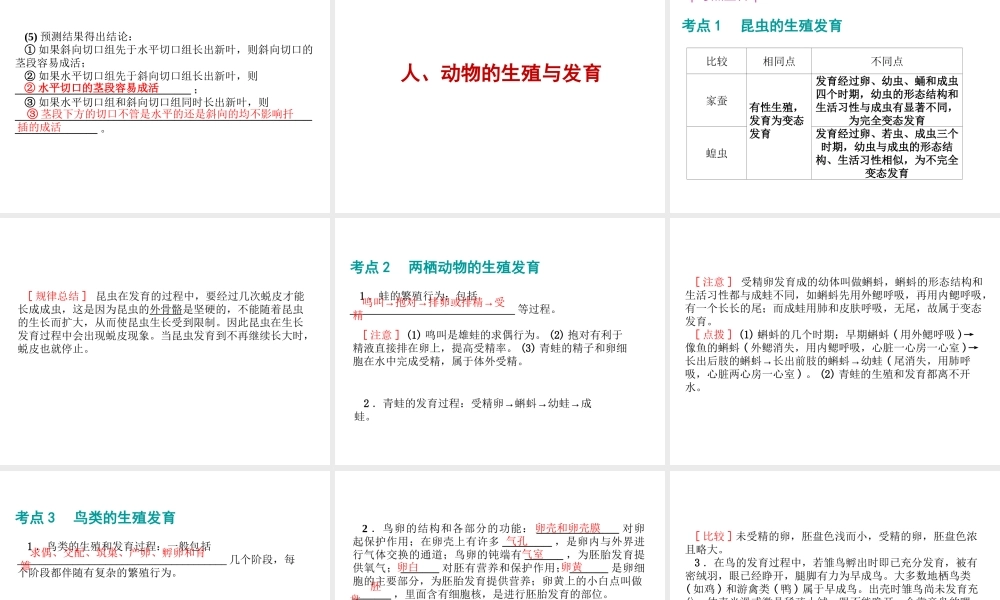 八年级生物 专题八 生物的生殖和发育复习课件 （新版）济南版-（新版）济南版初中八年级全册生物课件