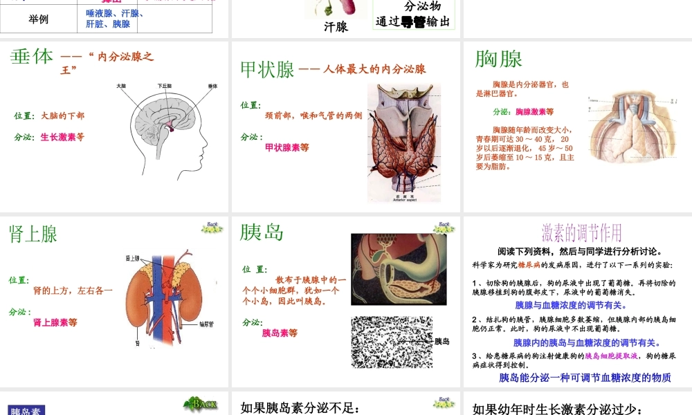 八年级生物上册 16.3 人体的激素调节课件 （新版）苏科版-（新版）苏科版初中八年级上册生物课件