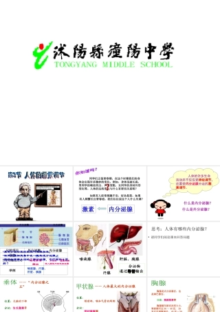 八年级生物上册 16.3 人体的激素调节课件 （新版）苏科版-（新版）苏科版初中八年级上册生物课件