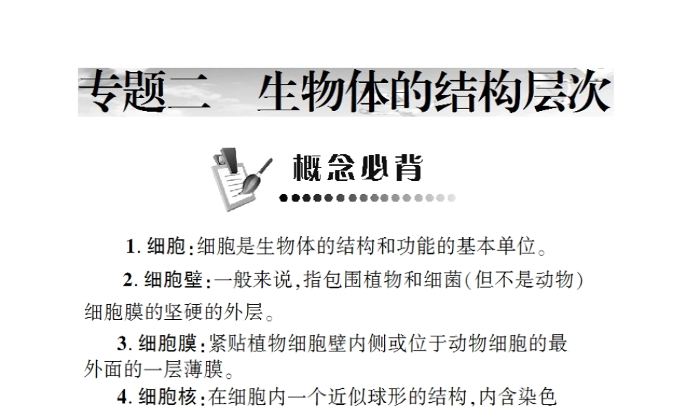 八年级生物 专题二 生物体的结构层次复习课件 （新版）济南版-（新版）济南版初中八年级全册生物课件