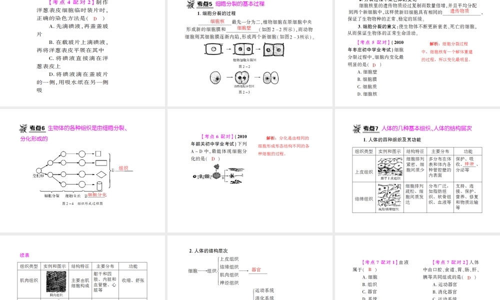 八年级生物 专题二 生物体的结构层次复习课件 （新版）济南版-（新版）济南版初中八年级全册生物课件