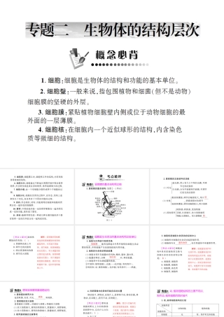 八年级生物 专题二 生物体的结构层次复习课件 （新版）济南版-（新版）济南版初中八年级全册生物课件