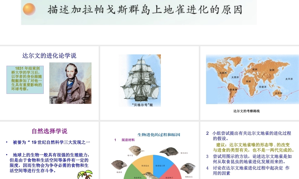 八年级生物上册 16.3 生物进化的学说课件 （新版）苏教版-（新版）苏教版初中八年级上册生物课件