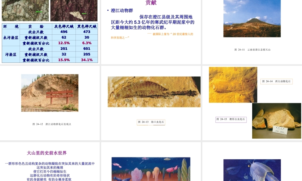 八年级生物上册 16.3 生物进化的学说课件 （新版）苏教版-（新版）苏教版初中八年级上册生物课件