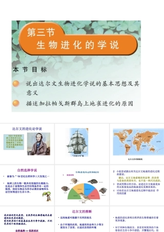 八年级生物上册 16.3 生物进化的学说课件 （新版）苏教版-（新版）苏教版初中八年级上册生物课件